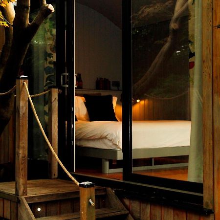 Bed and Breakfast Victorian House Grasmere Pokoj fotografie